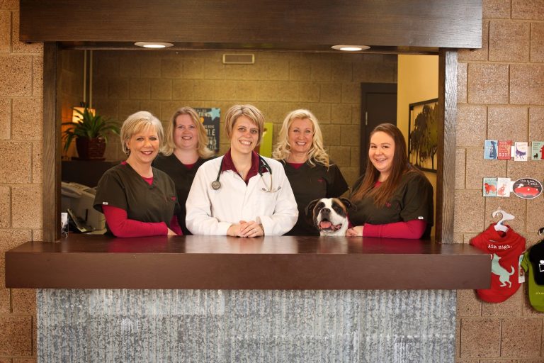 Northwest Animal Clinic Albuquerque New Mexico Get More Anythink's