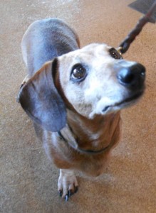 keller-mackenzie-olson